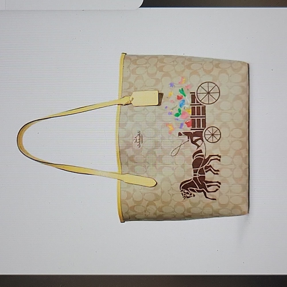 Coach City Tote in Signature Canvas with Dreamy Veggie Horse & Carriage